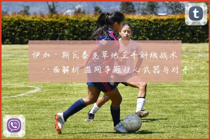 伊加·斯瓦泰克草地正手斜线战术全面解析 温网争冠核心武器与对手如何破解
