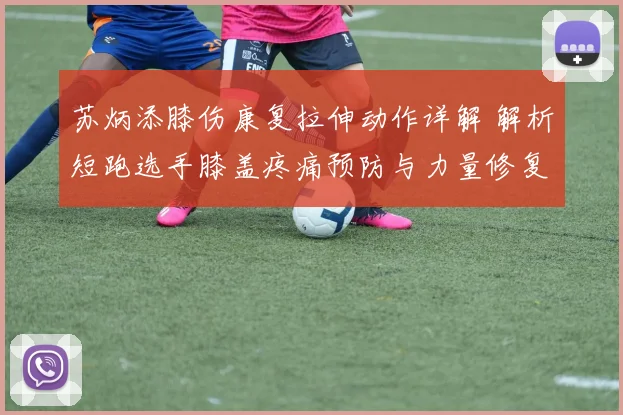 苏炳添膝伤康复拉伸动作详解 解析短跑选手膝盖疼痛预防与力量修复路径
