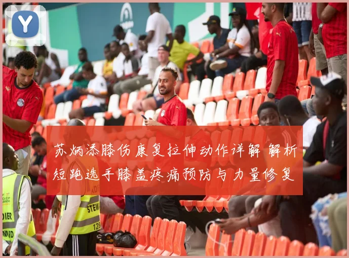 苏炳添膝伤康复拉伸动作详解 解析短跑选手膝盖疼痛预防与力量修复路径