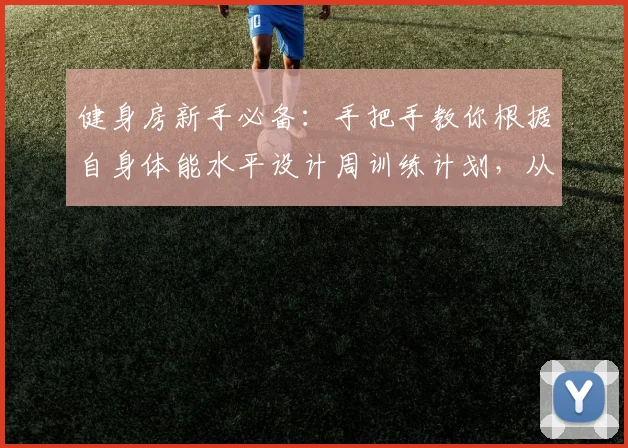 健身房新手必备：手把手教你根据自身体能水平设计周训练计划，从热身到拉伸的每一步详解与误区纠正