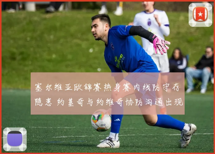 塞尔维亚欧锦赛热身赛内线防守存隐患 约基奇与约维奇协防沟通出现位置冲突