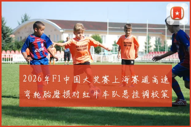 2026年F1中国大奖赛上海赛道高速弯轮胎磨损对红牛车队悬挂调校策略影响分析